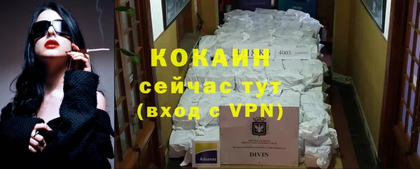 сатива Мегион