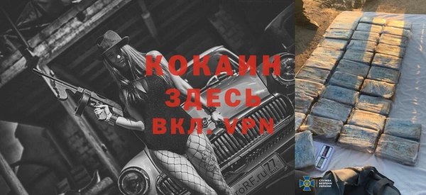 сатива Мегион